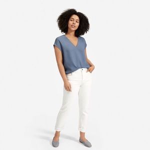 Everlane Japanese GoWeave V-Neck Tee Dusty Blue